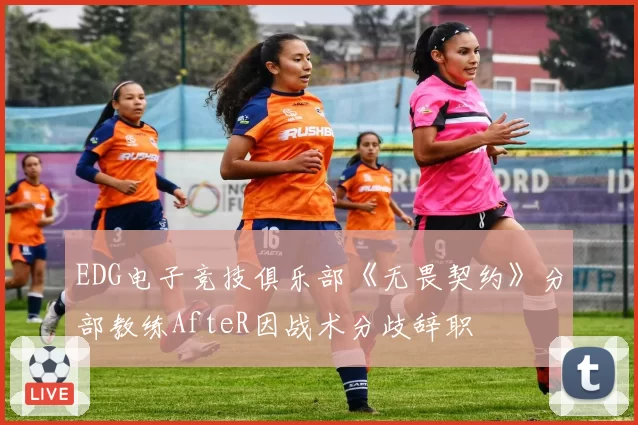 EDG电子竞技俱乐部《无畏契约》分部教练AfteR因战术分歧辞职