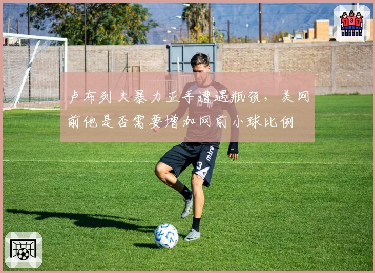 卢布列夫暴力正手遭遇瓶颈,美网前他是否需要增加网前小球比例