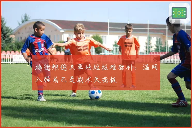梅德维德夫草地短板难弥补，温网八强或已是战术天花板